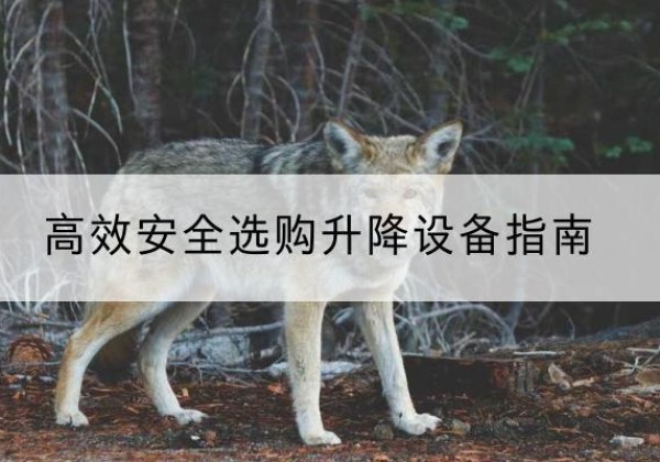 堆龙德庆升降货梯厂家推荐-*安全选购升降设备指南