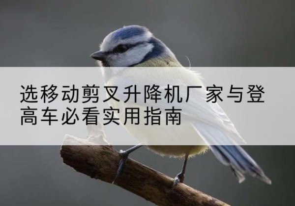 堆龙德庆电动升降机厂家-选移动剪叉升降机厂家与登高车必看实用指南