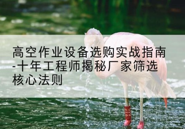 堆龙德庆剪叉式升降机厂家-高空作业设备选购实战指南-十年工程师揭秘厂家筛选核心法则
